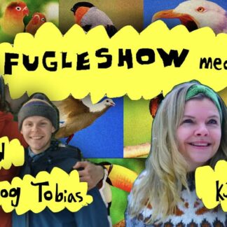 SCHEEN THEATERSELSKAB |  Fugleshow med David og Tobias! Gjest: Mariken Kjøhl-Røsand!