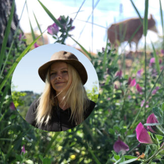 Om blomster og bier – villblomstenes kjærlighetsliv. Guidet tur.