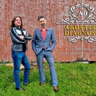 KAFE K |  AKUSTISK DIAGNOSE – med Frode Johansen og Lars Kolberg