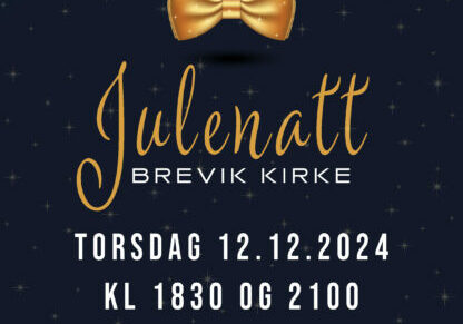 SWAS_Julenatt_2024_plakat